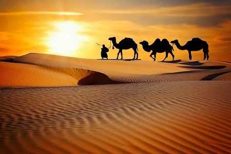 Rajasthan Deserts Tour Package